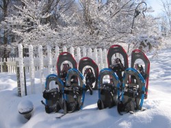 We provide 4 pairs of LLBean snowshoes
